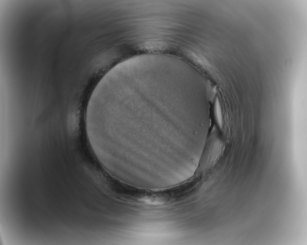 X0000088390735200706051117