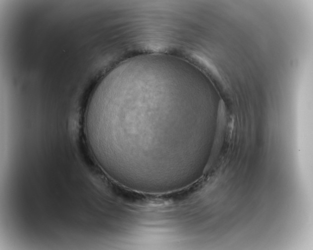 X0000088390736200706051117