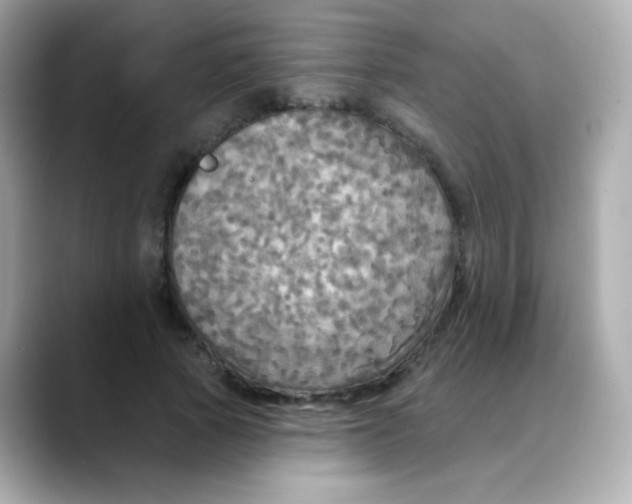 X0000088390737200706051117