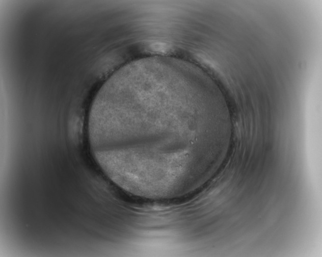 X0000088390739200706051117