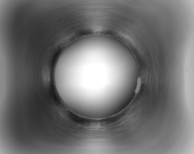 X0000088390740200706051117