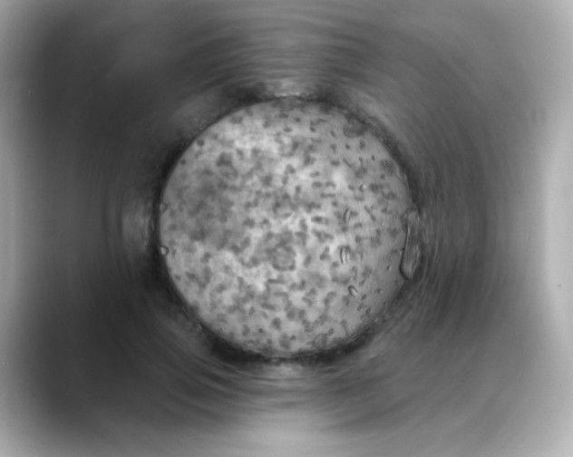 X0000088390741200706051117