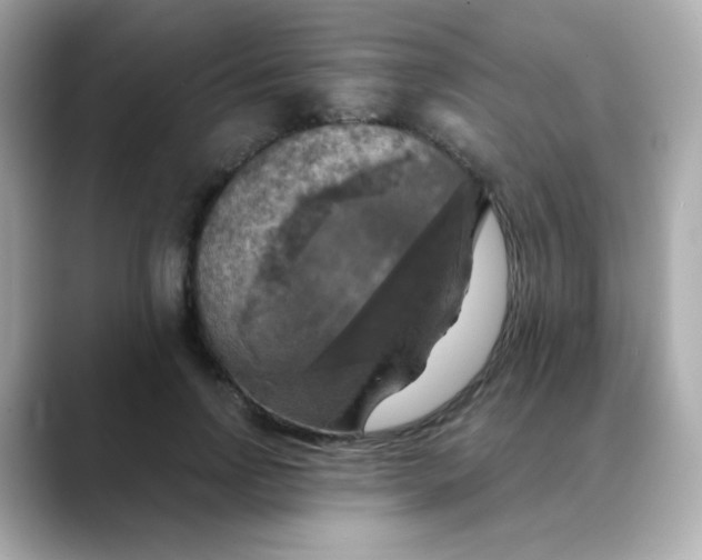 X0000088390742200706051117