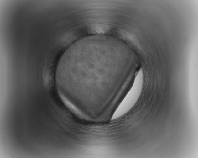 X0000088390743200706051117