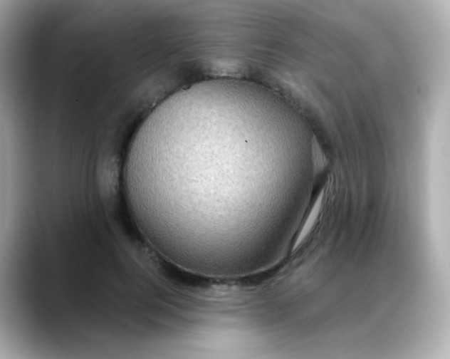 X0000088390744200706051117