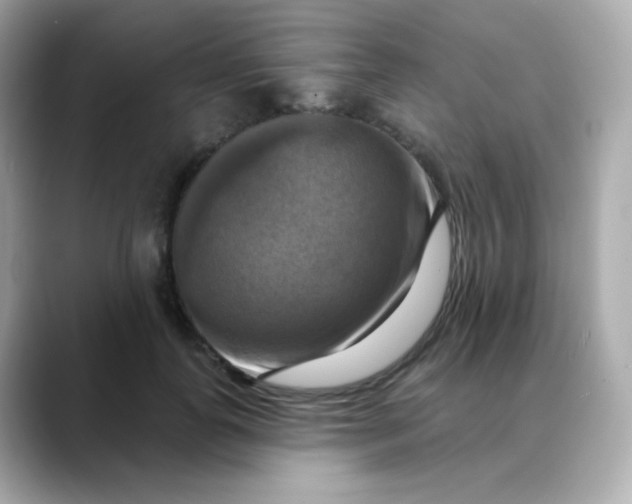 X0000088390747200706051117