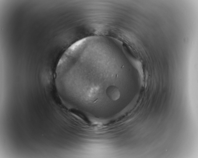 X0000088390748200706051117