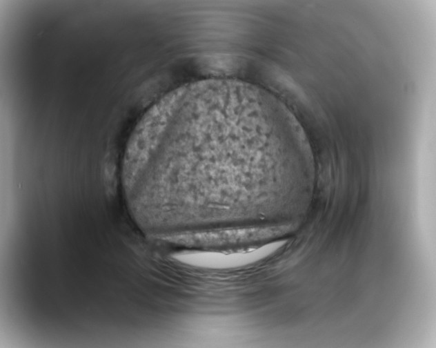 X0000088390749200706051117