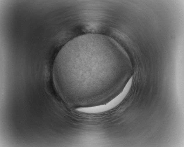 X0000088390751200706051117