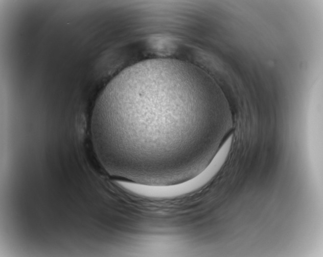 X0000088390752200706051117