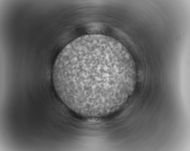 X0000088390753200706051117