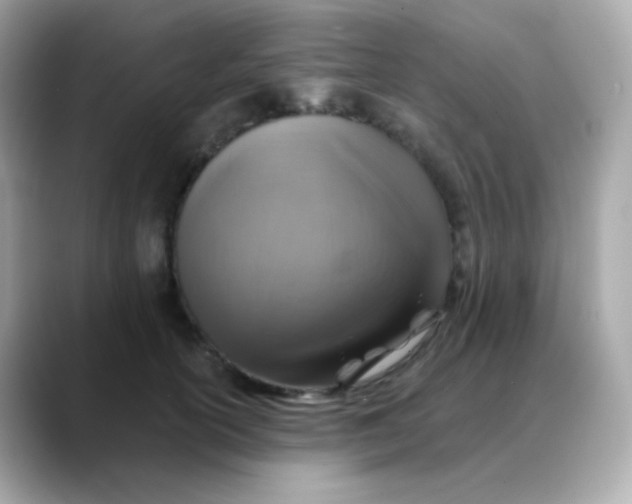 X0000088390754200706051117