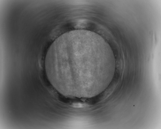 X0000088390755200706051117