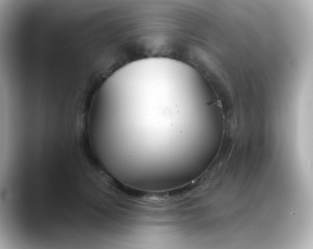 X0000088390756200706051117