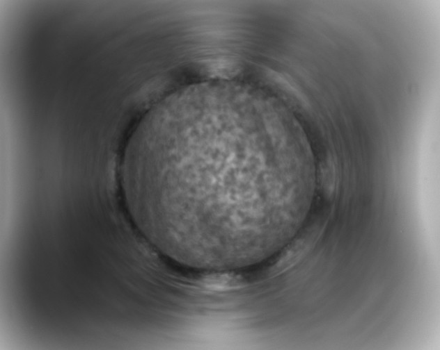 X0000088390757200706051117