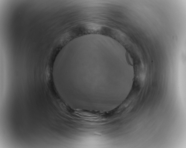 X0000088390758200706051117