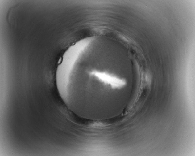 X0000088390759200706051117