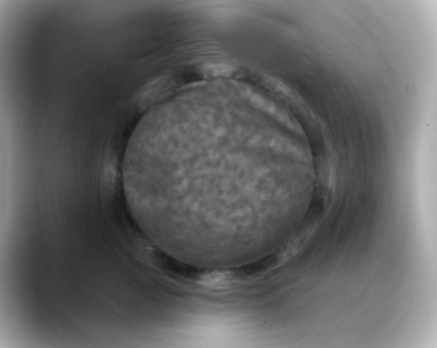 X0000088390761200706051117