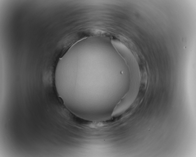 X0000088390762200706051117