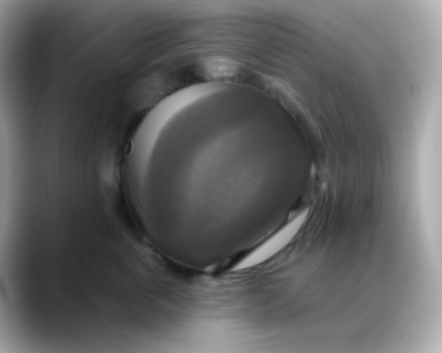 X0000088390763200706051117