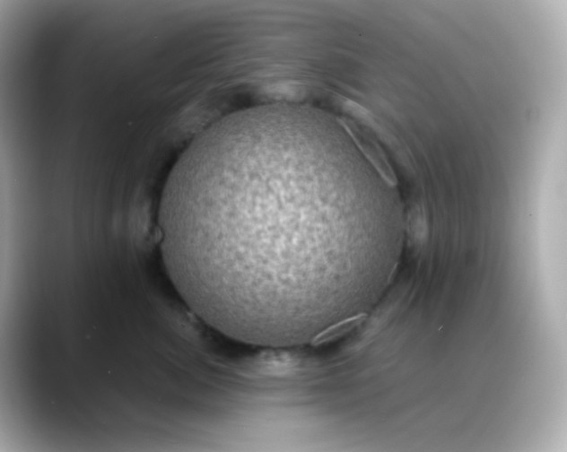 X0000088390764200706051117