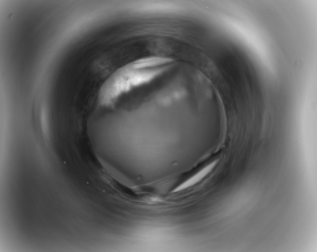 X0000088390765200706051117