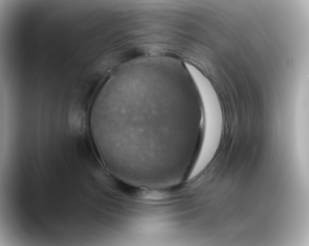 X0000088390766200706051117