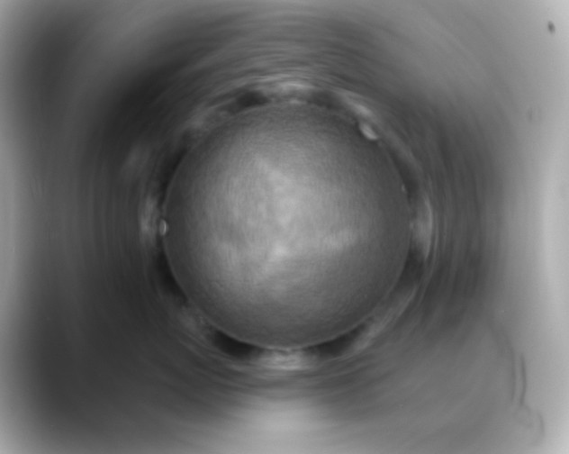 X0000088390767200706051117