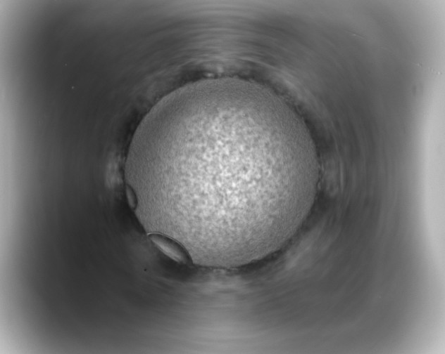 X0000088390770200706051117