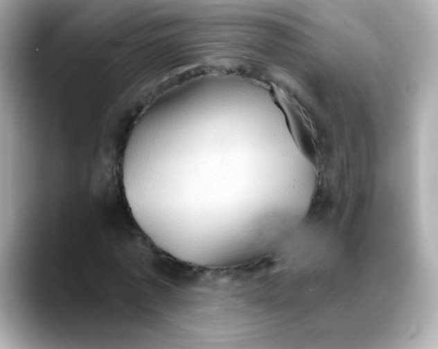 X0000088390773200706051117