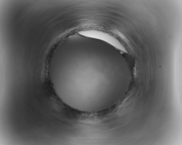 X0000088390775200706051117