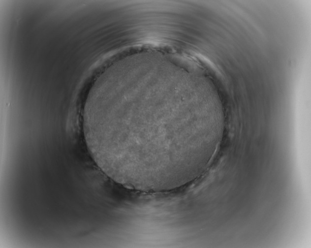 X0000088390776200706051117