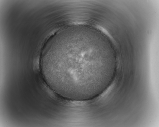 X0000088390777200706051117