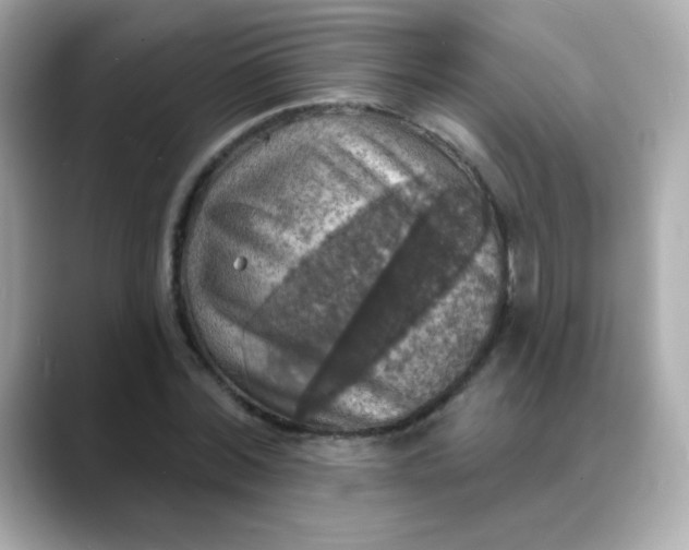 X0000088390780200706051117