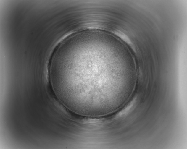 X0000088390782200706051117