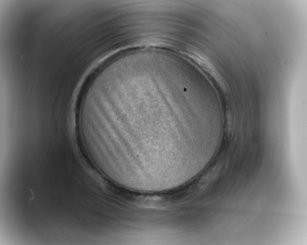 X0000088390784200706051117