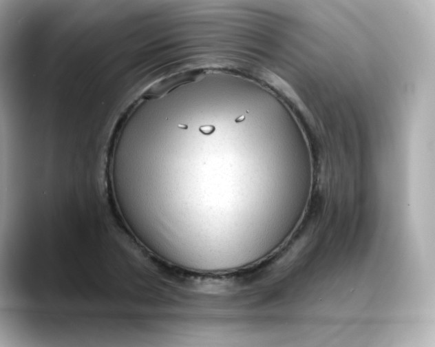 X0000088390786200706051117