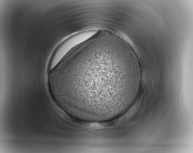 X0000088390787200706051117