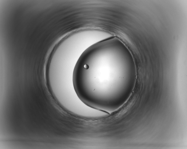 X0000088390788200706051117