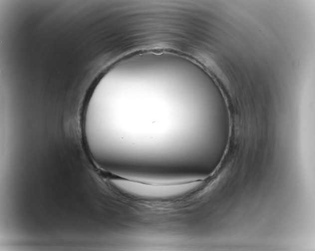 X0000088390789200706051117