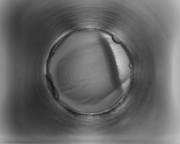 X0000088390790200706051116