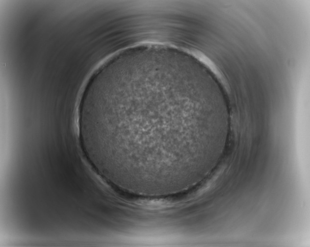 X0000088390791200706051116