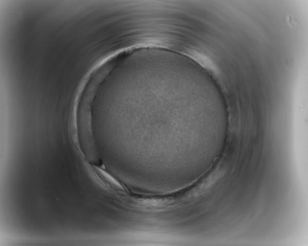 X0000088390792200706051116