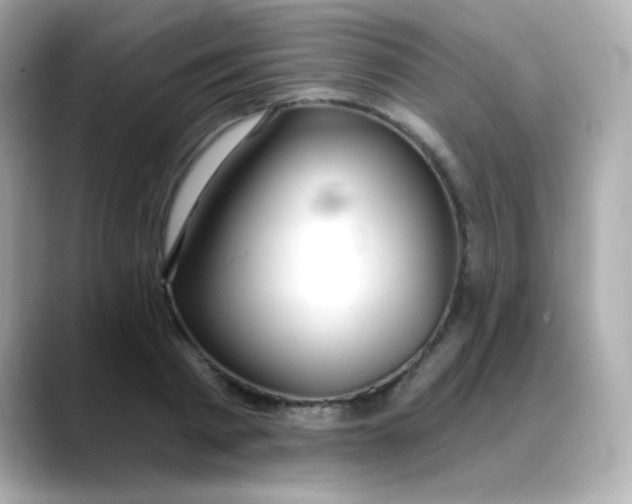 X0000088390793200706051116