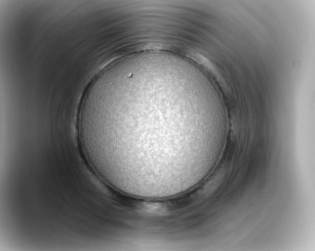 X0000088390794200706051116