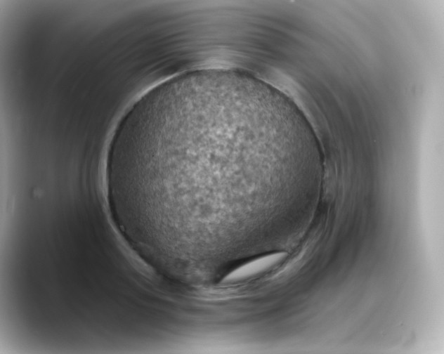 X0000088390795200706051116