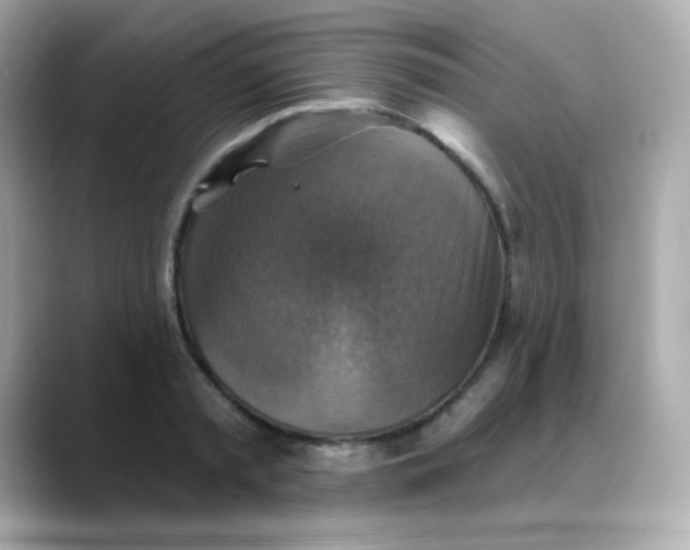 X0000088390797200706051116