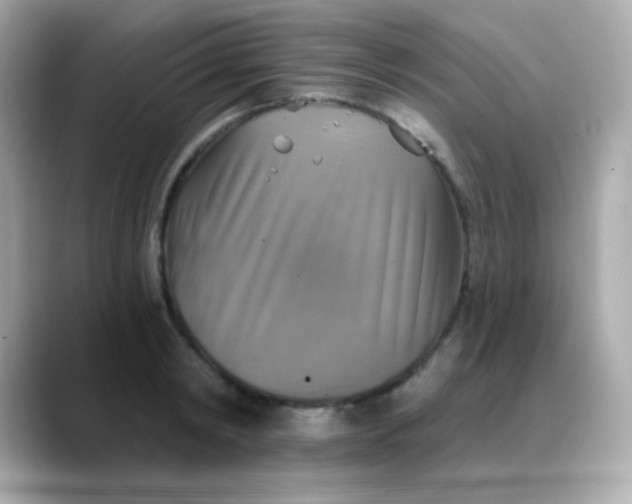 X0000088390798200706051116