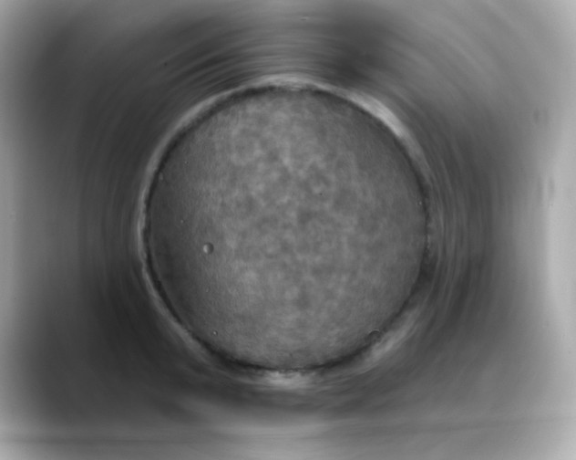 X0000088390799200706051116