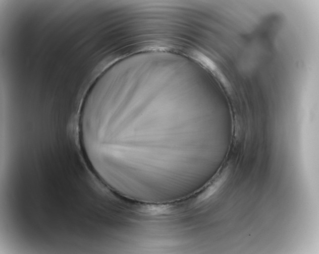 X0000088390802200706051116